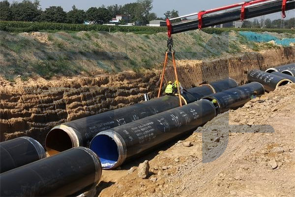 DM_20250915102256_002